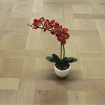 L-Grey Oak Basketweave Engineered Wood Flooring WBW1501