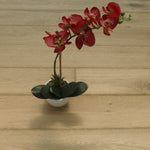Oak Smoked Brushed Unfinished Engineered Flooring 1880x180x15/4mm WEO1584