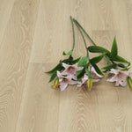 Smoked,Brushed White UV Oiled Oak 5G Click Engineered Flooring WEO1422C