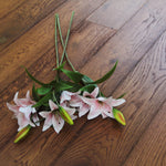 European Oak Dark Mahagony Engineerd Wood Flooring 1880x180x15/4mm WEO1583