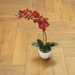 Oak Smoked Brushed Lacquered Herringbone Engineered Flooring 605x125x15/4mm WHO1503