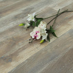 White Oiled & Smoked & Brushed Engineered Oak Flooring 1900x190x20/6mm WEO2022D