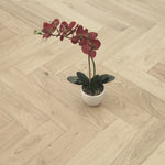 Brushed Unfinished Oak Engineered Herringbone Flooring 600x125x14/3mm WHO1400