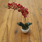 Oak Brushed Distressed Saw Mark Natural Oiled Engineered Flooring 1900x190x20/6mm WEO2004