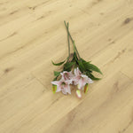 Brushed Invisible Oiled Oak Engineered Hardwood Flooring 1900x190x15/4mm WEO1503C