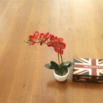 Smoked ,Brushed ,Natural UV Oiled Oak 5G Click Engineered Flooring WEO1423C