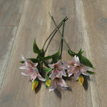 Oak Double Smoked Brushed White Oiled Engineered Wood Flooring 1900x240x20/6mm WEO2030
