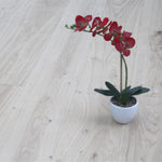 2200x260x14mm Oak Unfinished 5G Click Engineered Flooring WEO1417C