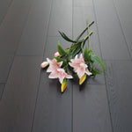 Oak Carbonized Lacquered Engineered Wood Flooring  920x180x20/6mm WEO2006