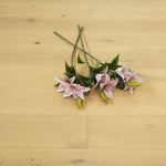 Brushed Natural Oak 5G Click Engineered Flooring WEO1421C