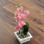Engineered American Black Walnut Lacquered Flooring 2200x240x20/6mm WEW2052