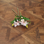 Dark Mahagony Oak Parquet Bordered Versailles Panels 580x580x20/6mm WPE2003