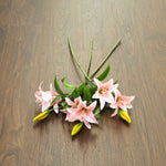 Discontinued Clearance! Walnut Black SPC Vinyl Click Planks Flooring 1220x180x4.0mm WVP2401