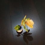 Brushed Ebony Stained Lacquered Oak Engineered Flooring 1900x190x15/4mm WEO1518